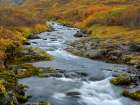 Iceland. Sunndalur in Trostansfjordur during autumn. Art Print